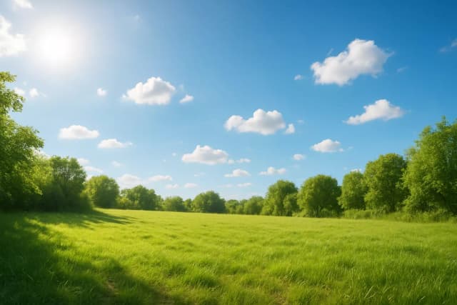 Nature Background