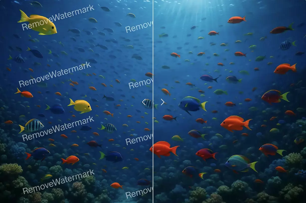 Watermark Removal
